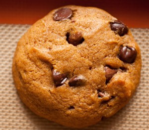 pumpkin chocolate chip cookie